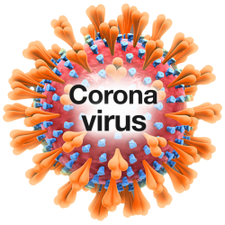 Coronavirus 2